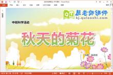 中班科学课件《秋天的菊花》教案PPT课件下载