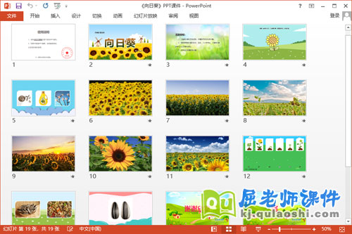 大班科学课件《向日葵》教案图片2