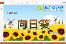 大班科学课件《向日葵》教案图片记录表PPT课件下载