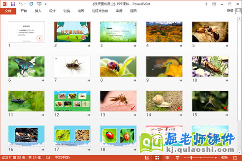 中班科学课件《秋天里的昆虫》教案PPT课件2