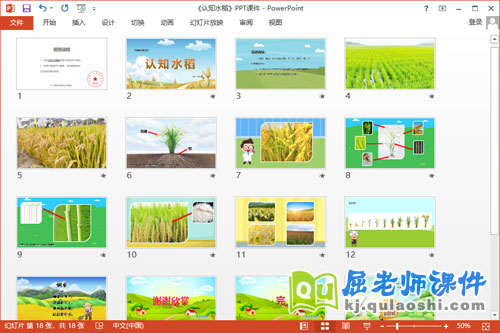中班科学课件《认知水稻》教案2