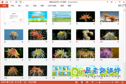 中班美术课件《菊花朵朵开》教案视频PPT课件2