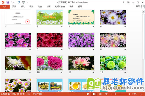 中班科学课件《欣赏菊花》教案PPT课件2