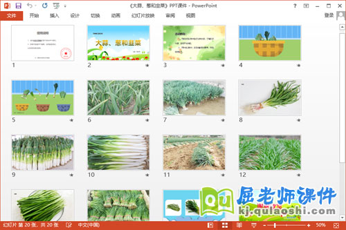 中班科学课件《大蒜、葱和韭菜》教案PPT课件2