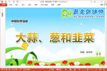 中班科学课件《大蒜、葱和韭菜》教案PPT课件下载