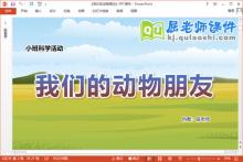小班科学课件《我们的动物朋友》教案图片PPT课件下载