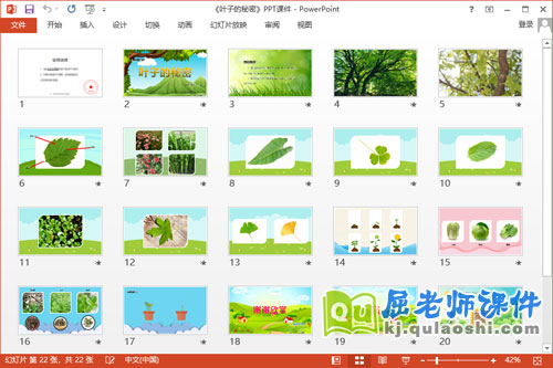 中班科学课件《叶子的秘密》教案记录表2