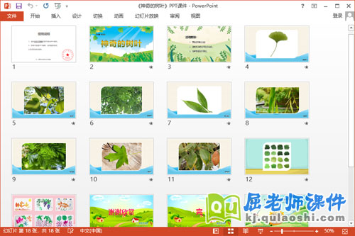 大班美术拓印画课件《神奇的树叶》教案PPT课件2