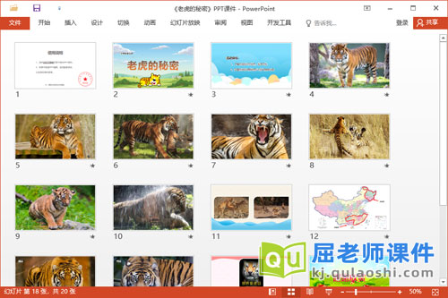大班科学课件《老虎的秘密》教案视频PPT课件2