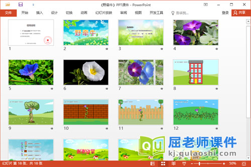 中班语言儿歌课件《野牵牛》教案PPT课件2