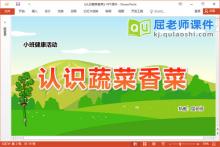 小班健康课件《认识蔬菜香菜》教案PPT课件下载