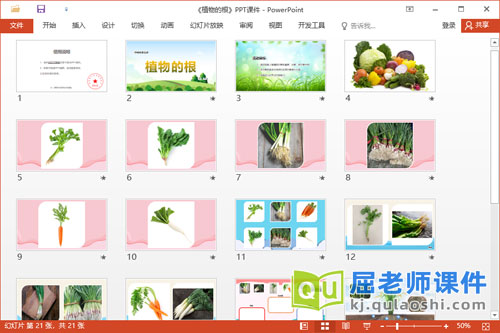 中班科学课件《植物的根》教案学具PPT课件2