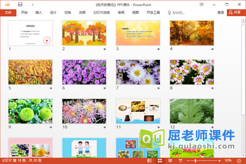 中班科学优质课件《秋天的菊花》PPT课件教案2