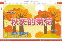 中班科学优质课件《秋天的菊花》PPT课件教案下载