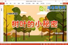 小班科学课件《树叶的小秘密》教案PPT课件下载