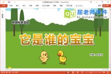中班科学课件《它是谁的宝宝》教案音乐学具PPT课件下载