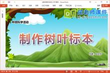 中班科学课件《制作树叶标本》教案音乐PPT课件下载