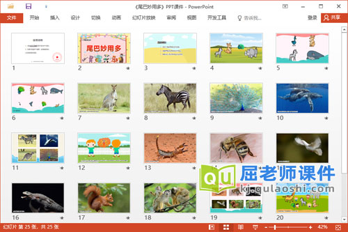 小班科学课件《尾巴妙用多》教案学具PPT课件2