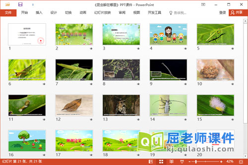 中班科学课件《昆虫躲在哪里》教案学具PPT课件2