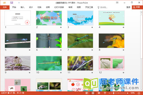 大班社会课件《蜻蜓我爱你》教案学具PPT课件2