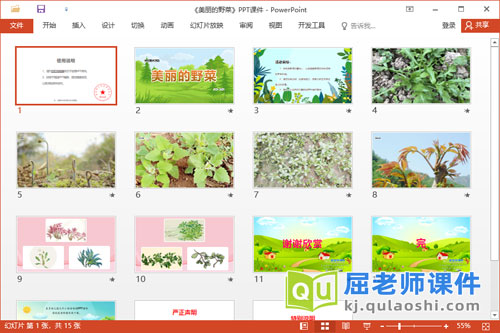 大班美术课件《美丽的野菜》教案PPT课件2