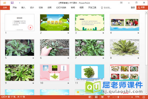 大班科学课件《荠菜香香》PPT课件教案2