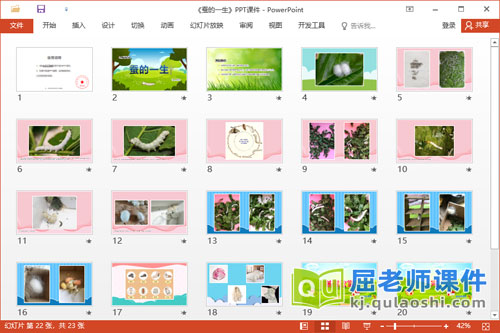 大班科学课件《蚕的一生》教案PPT课件2