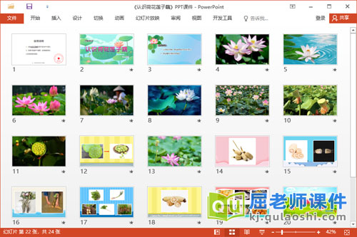 中班科学课件《认识荷花莲子藕》教案PPT课件2