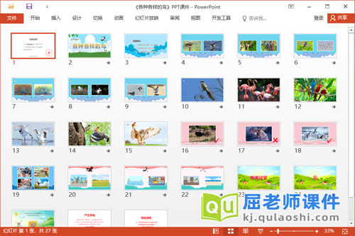 大班科学课件《各种各样的鸟》教案学具PPT课件2