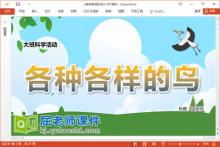 大班科学课件《各种各样的鸟》教案学具PPT课件