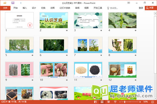 中班科学课件《认识芝麻》教案PPT课件2