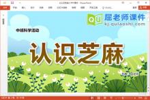 中班科学课件《认识芝麻》教案PPT课件下载