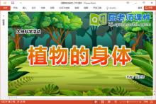 大班科学课件《植物的身体》教案PPT课件下载