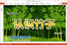 大班科学课件《认识竹子》教案PPT课件下载