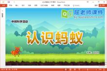 中班科学课件《认识蚂蚁》教案PPT课件下载