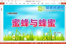 小班科学课件《蜜蜂与蜂蜜》教案PPT课件下载
