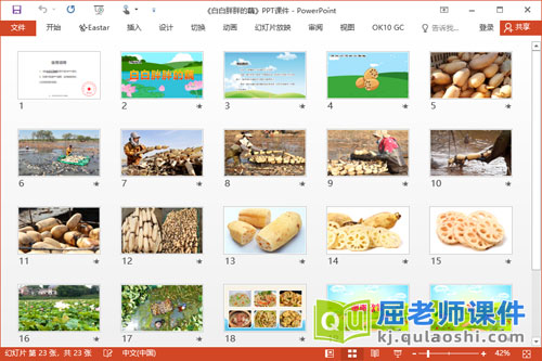 大班科学课件《白白胖胖的藕》PPT课件教案2