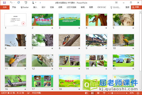 中班科学课件《啄木鸟朋友》教案PPT课件2