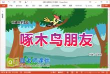 中班科学课件《啄木鸟朋友》教案PPT课件下载