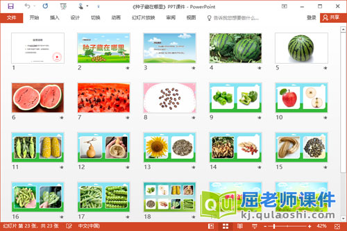 大班科学优质课件《种子藏在哪里》教案PPT课件2