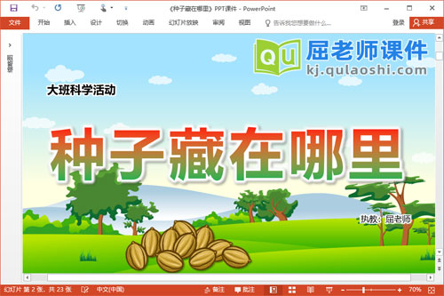 大班科学优质课件《种子藏在哪里》教案PPT课件