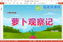 小班科学课件《萝卜观察记》PPT课件教案记录表视频下载