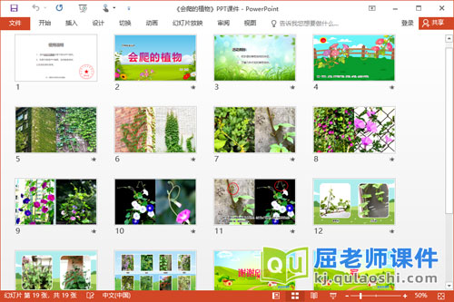 中班科学课件《会爬的植物》PPT课件教案2