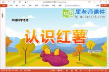 中班科学课件《认识红薯》PPT课件教案视频下载